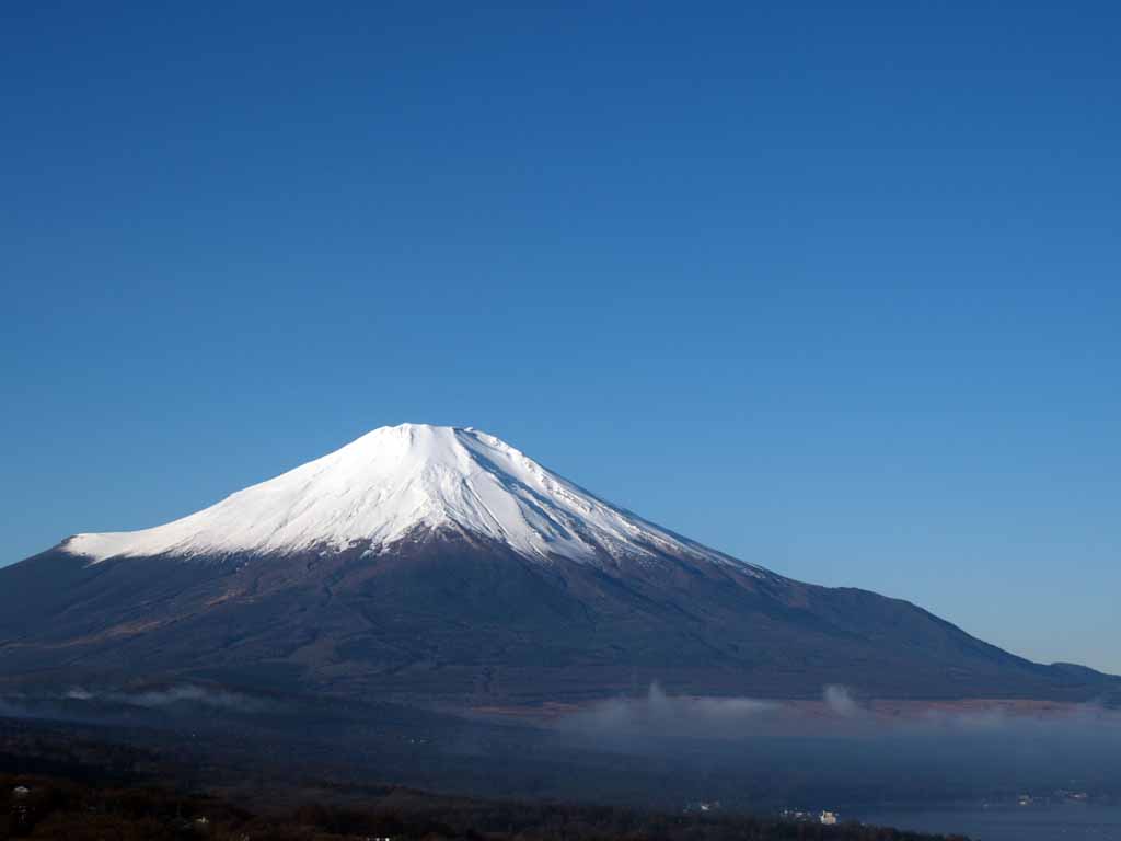 �^�~�̂��ꂢ�ȕx�m�R