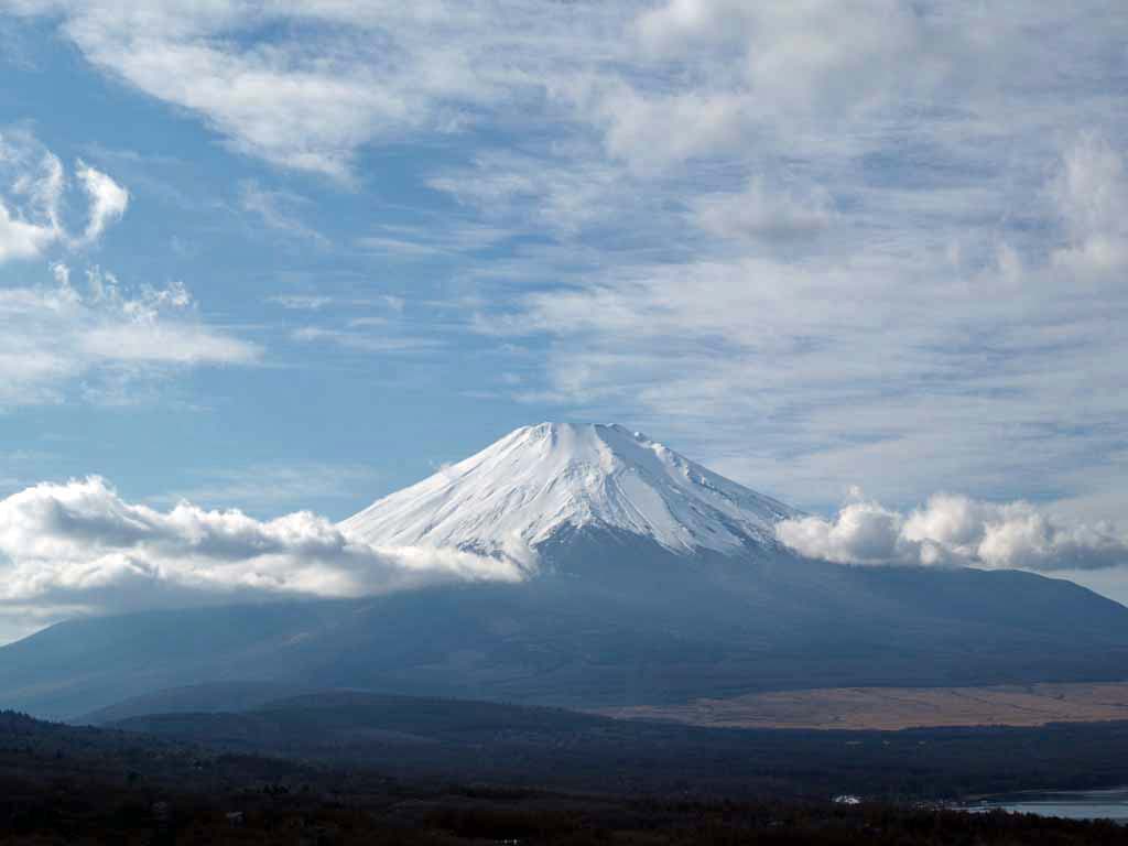 �؉_�ƕx�m�R