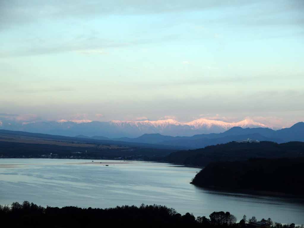 ��A���v�X�̒��Ă�