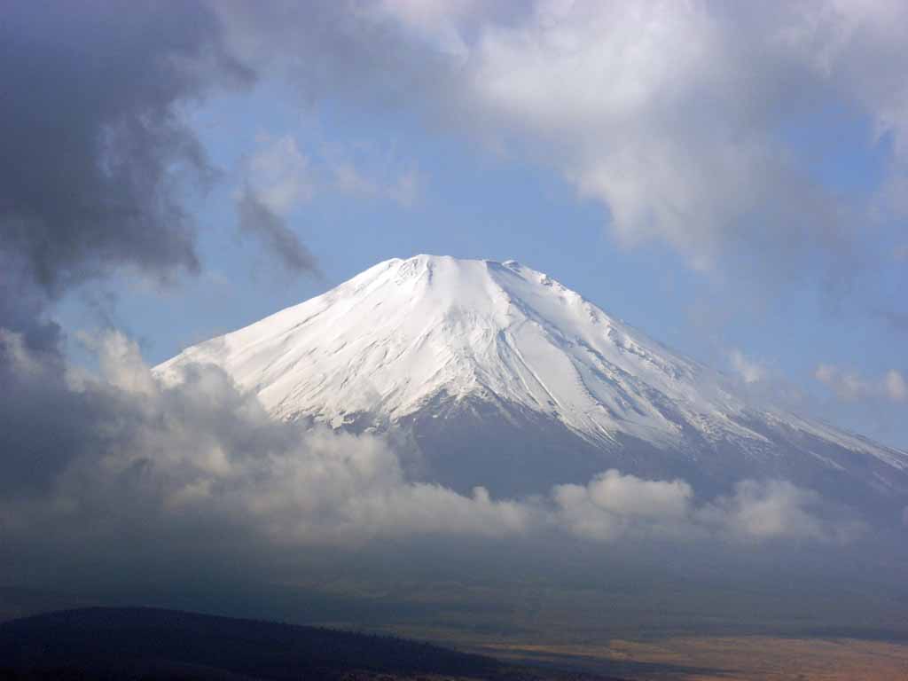 �_�̐؂�Ԃ̕x�m�R