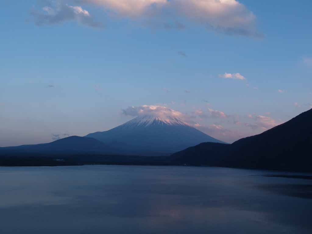 �{���΂���̕x�m�R