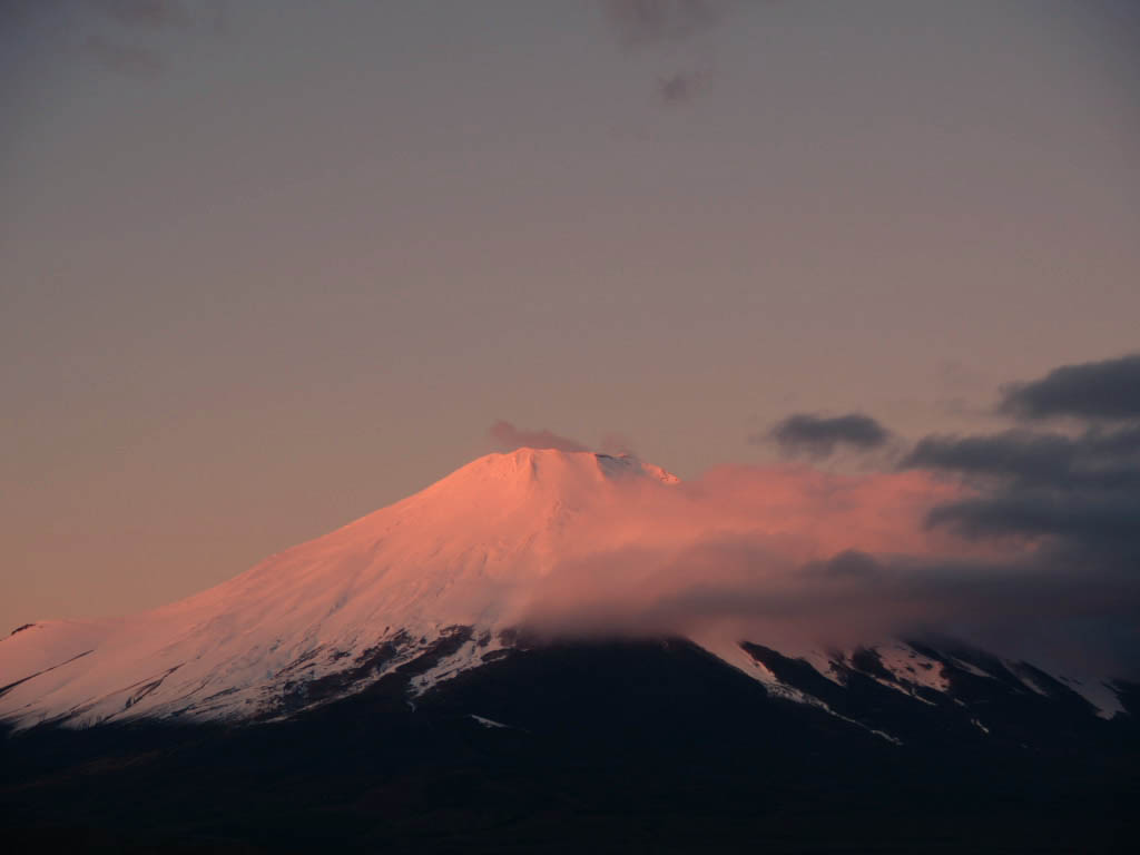 ��u�̒��Ă��ƕx�m�R