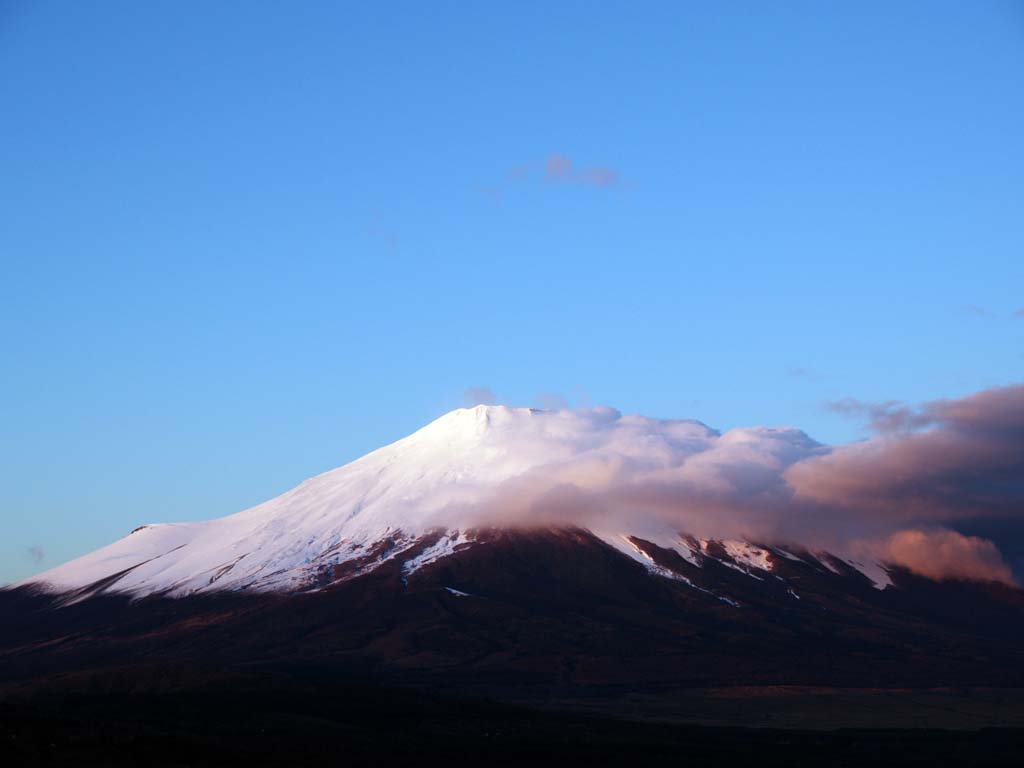 �_���������Ă����x�m�R