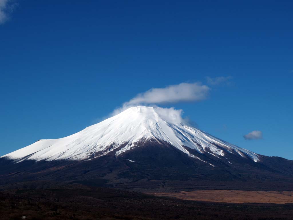 �^�~�̂��ꂢ�ȕx�m�R