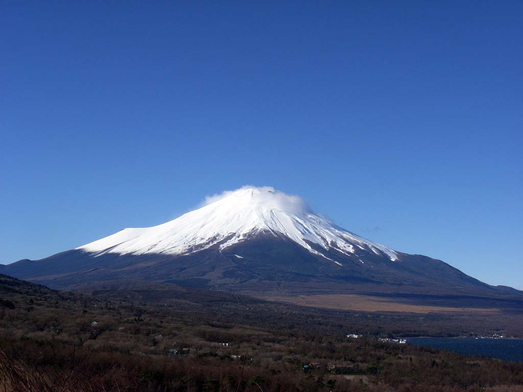 �_�������Ȃ肫�ꂢ�ȕx�m�R