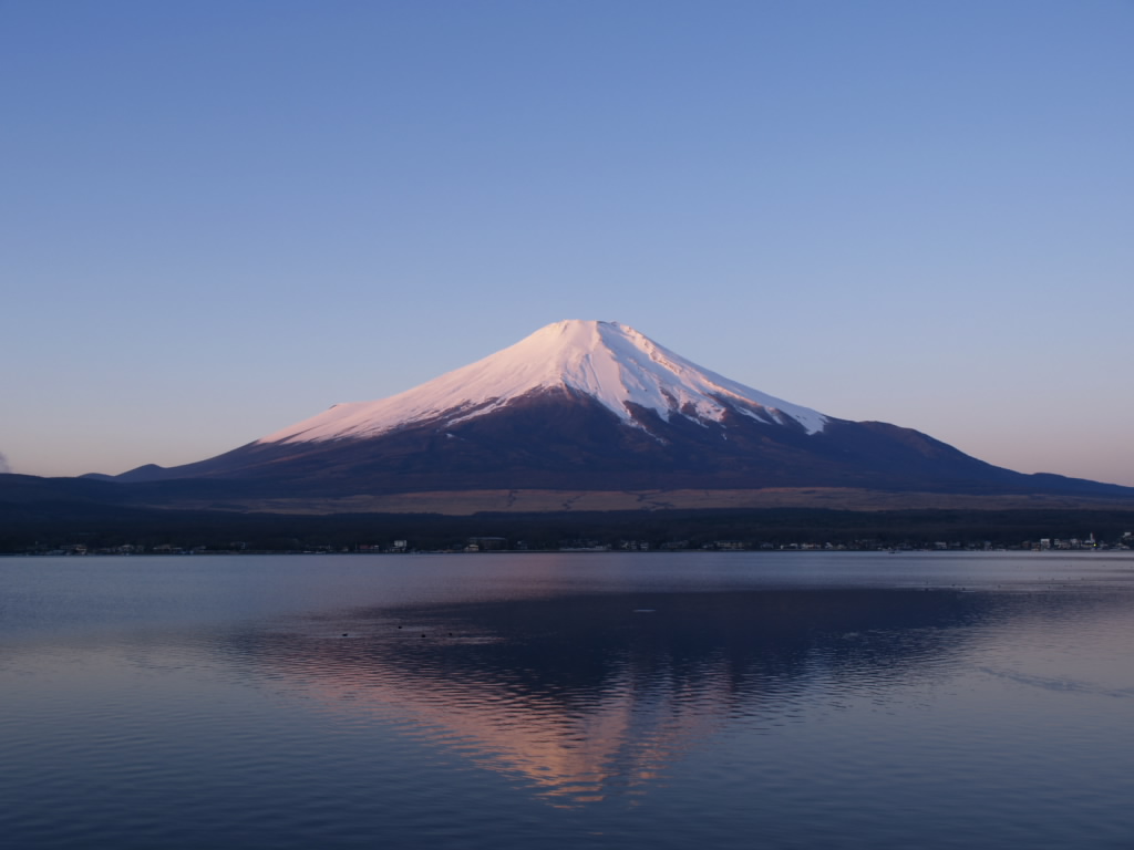 ���r����̋t���x�m(Olympus E-�P)