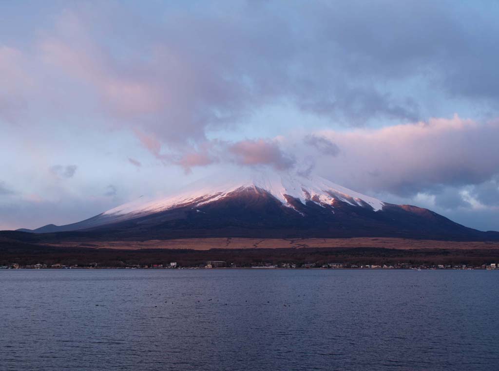 29�����r����̕x�m�R