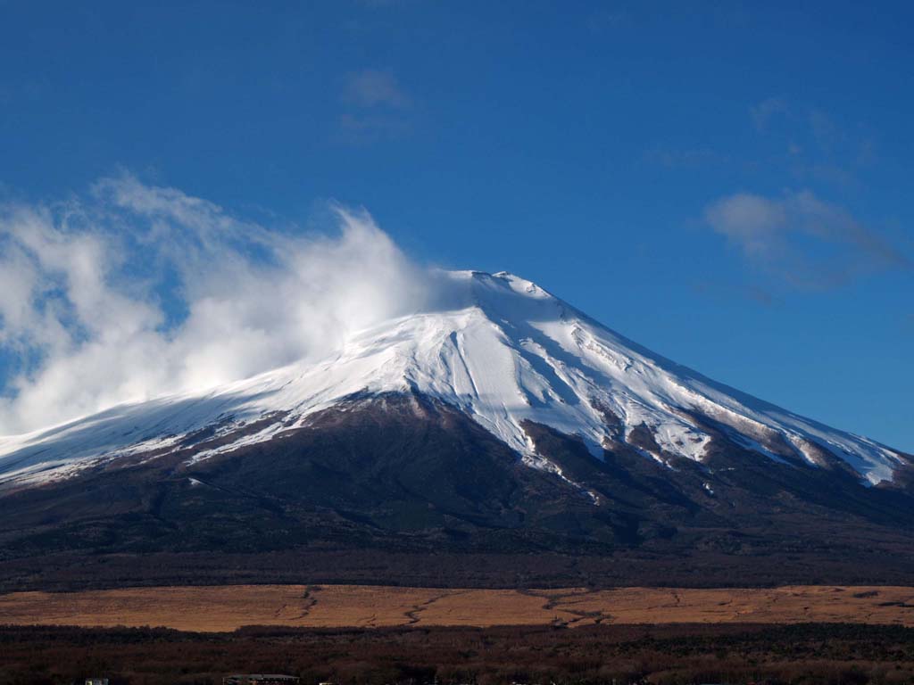 ���ꂢ�ȕx�m�R�̃A�b�v