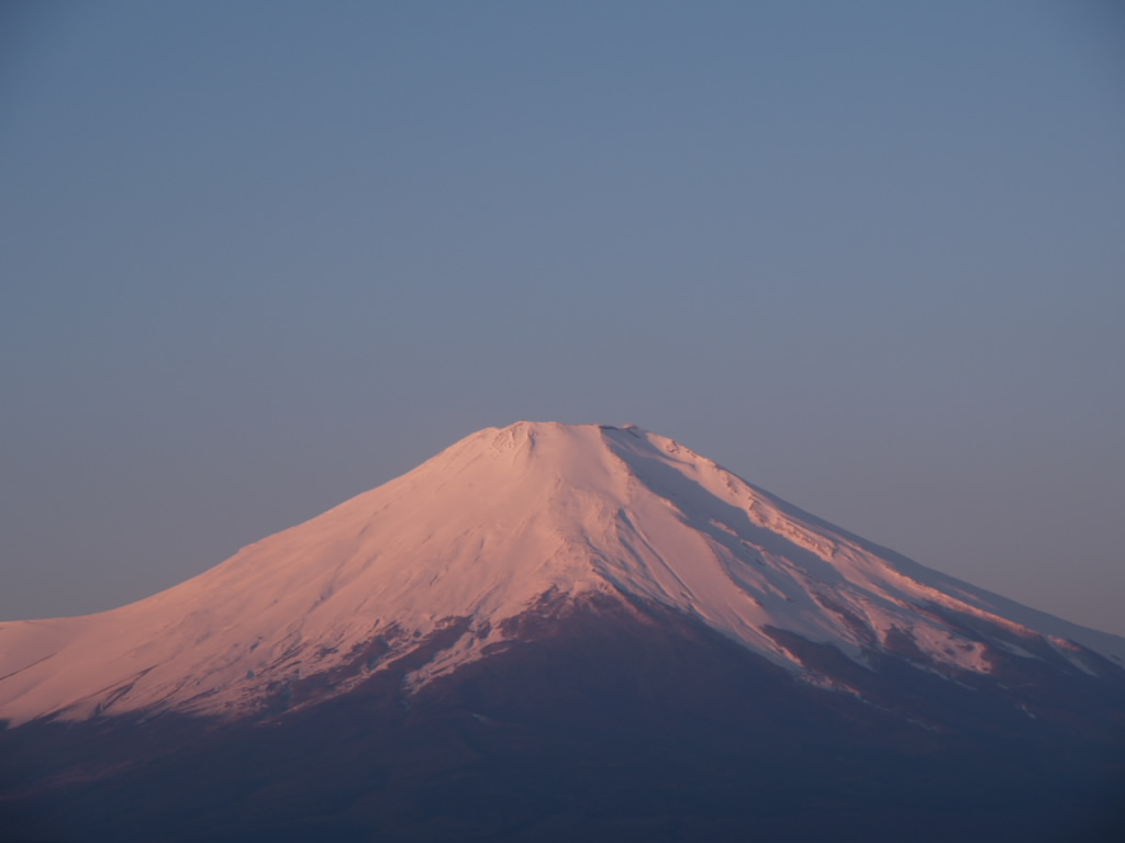 ���N�Ō�̕x�m�R