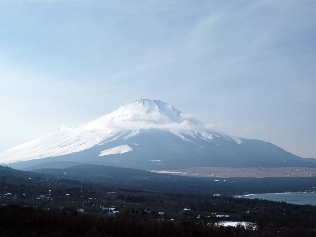 �R���΃p�m���}�䂩��̕x�m�R