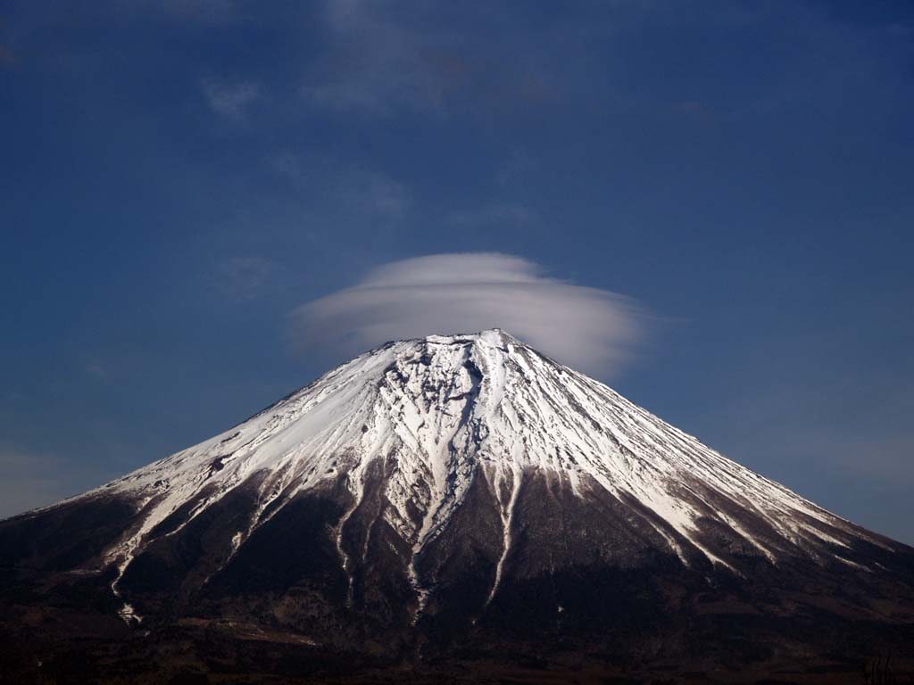 �c�ь΂���̎P�_