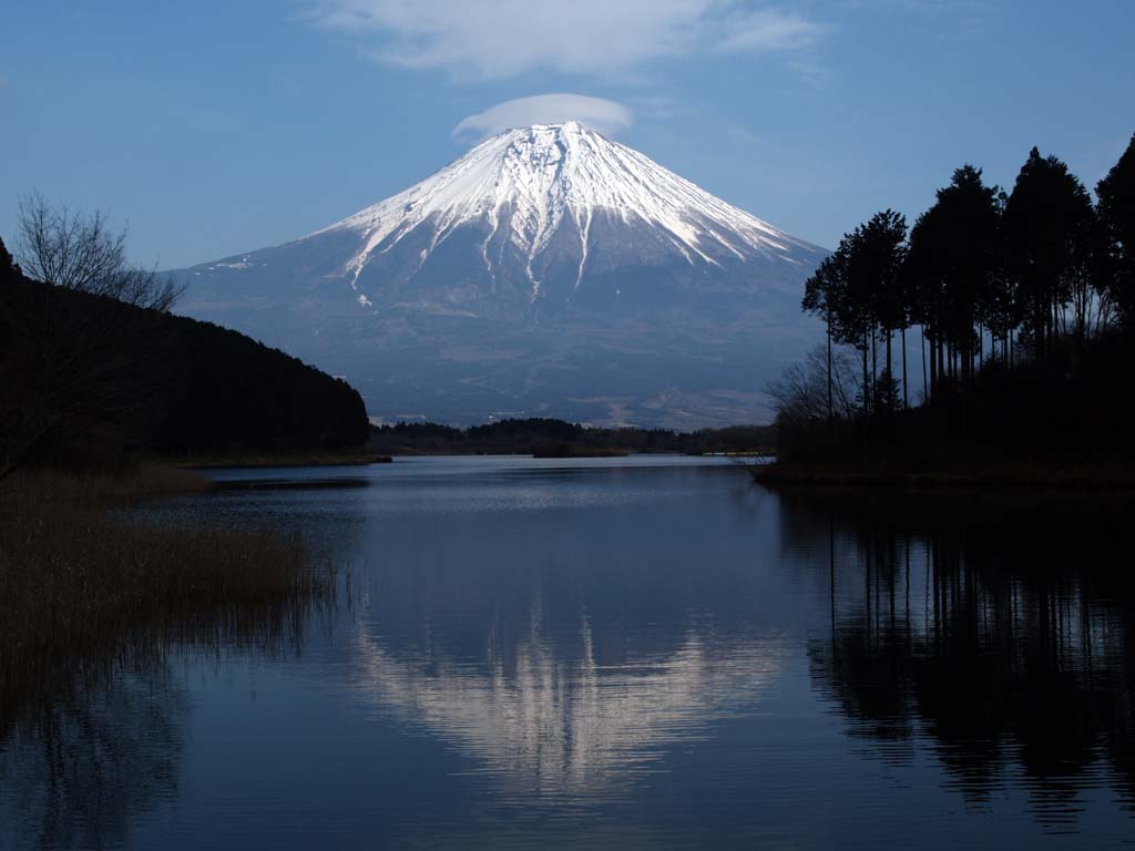 �c�ь΂���̎P�_(2)