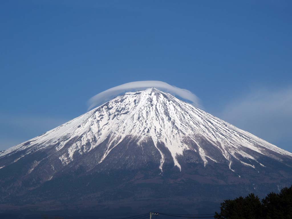 �����̑ꂩ��̎P�_�ƕx�m�R