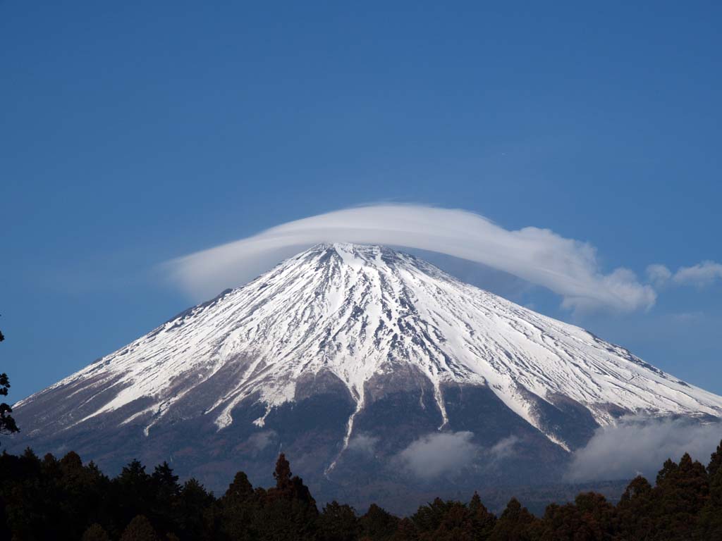 ���ǂ��̍�����̎P�_�ƕx�m�R