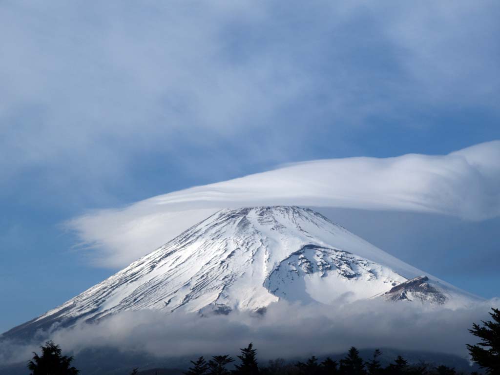 �\���؍�������̕x�m�R