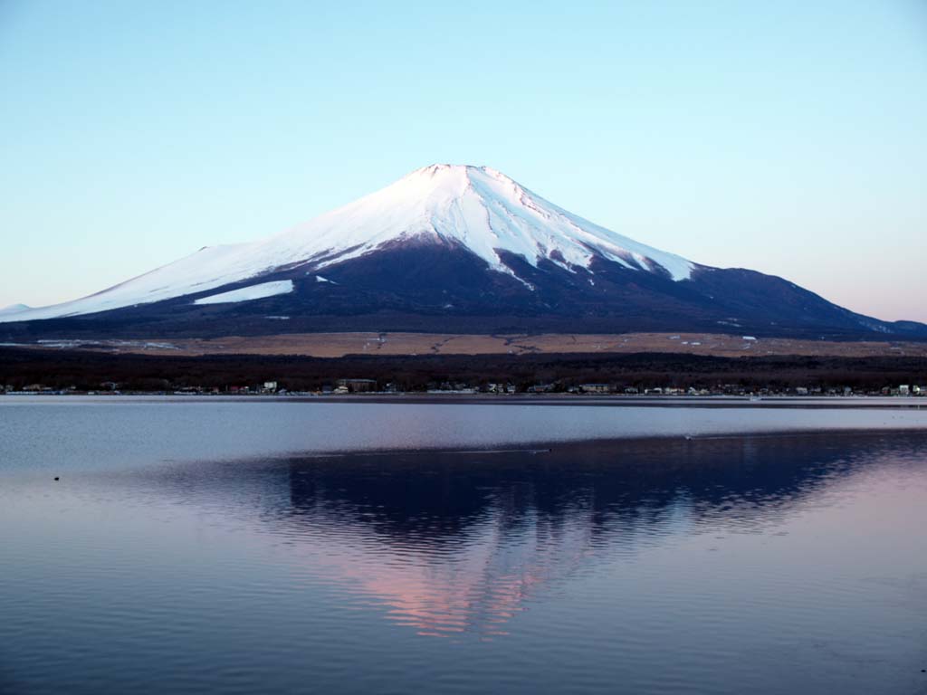 2/3 �R���ɑ��z������������ꂢ�ȕx�m�R