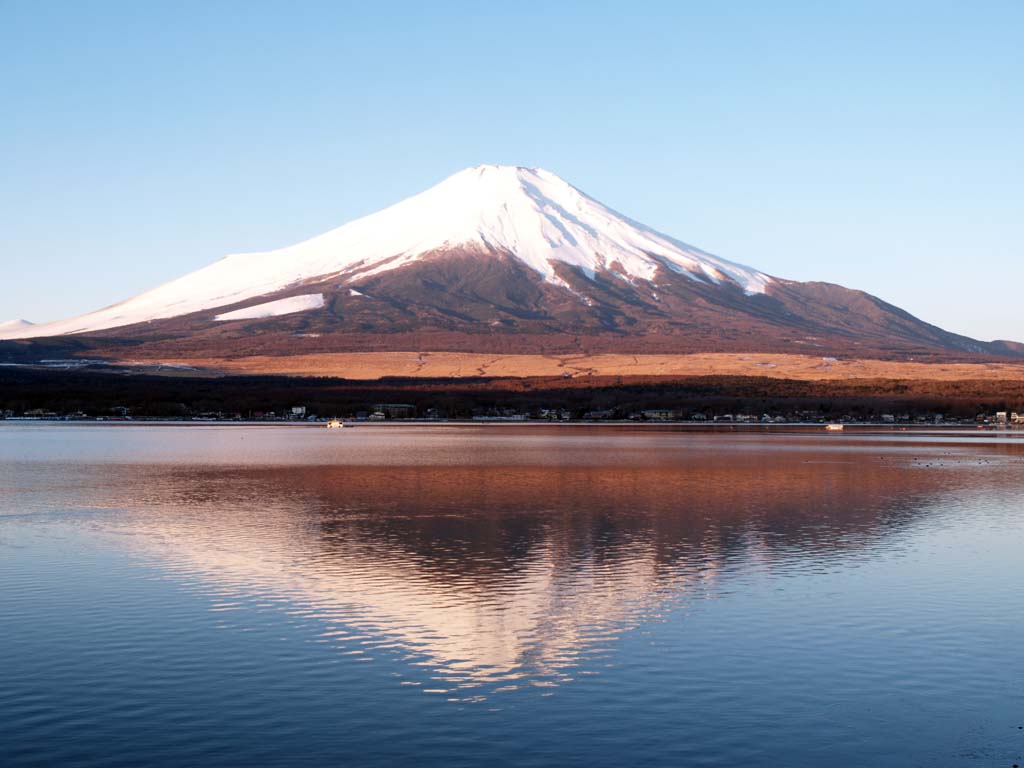 2/3 �������܂ő��z����������x�m�R