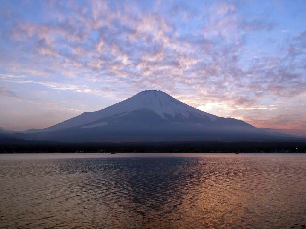 2/5 ���̓���ƕx�m�R