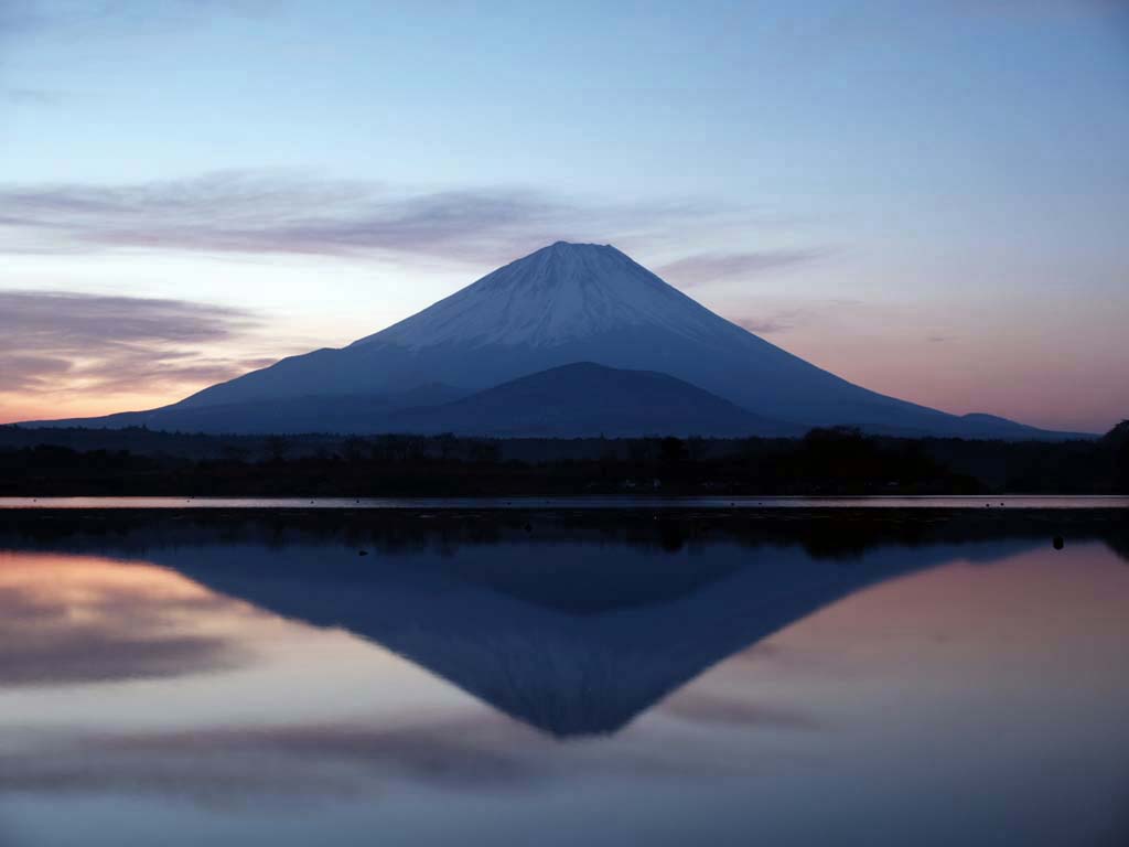 2/6 ���i�΂���t���x�m