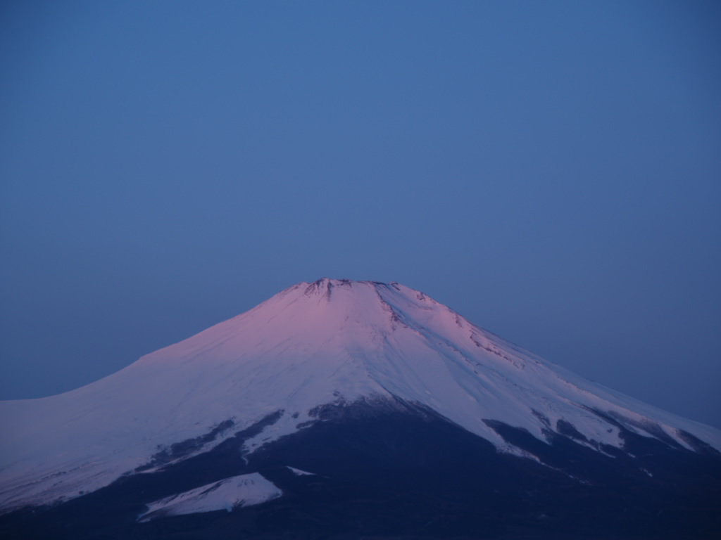 2/25 ���Ă��ƕx�m�R