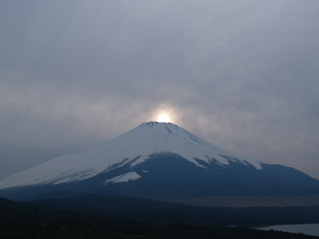 2/25 �_�̒��̃_�C�������h�x�m