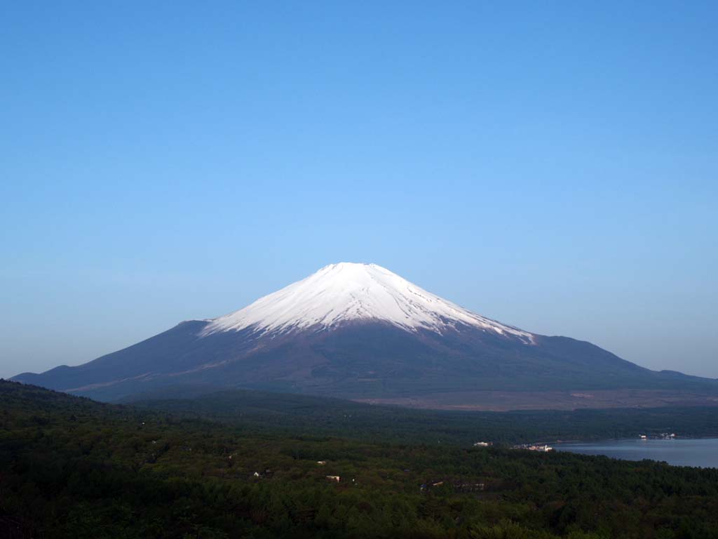 5/16 �V�΂̂��ꂢ�ȕx�m�R