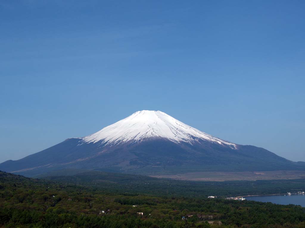 5/16 �V�΂̂��ꂢ�ȕx�m�R(2)