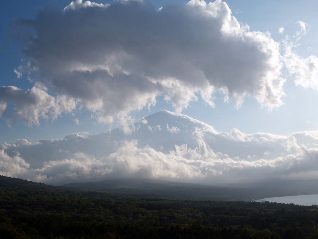 5/17 �_�̒�����p���o���Ȃ��x�m�R