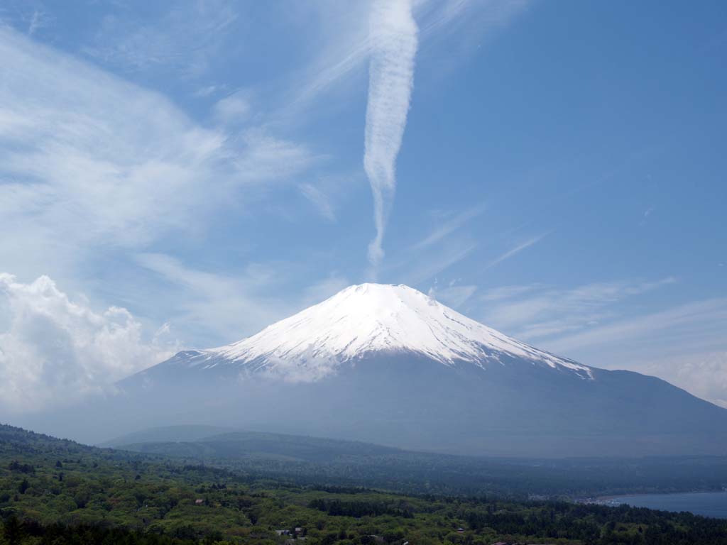 5/19 ��s�@�_�ƕx�m�R