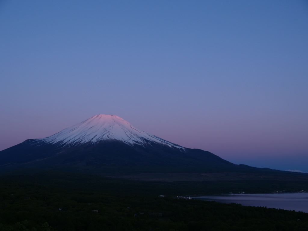 5/20 �R�����g�����܂�x�m�R