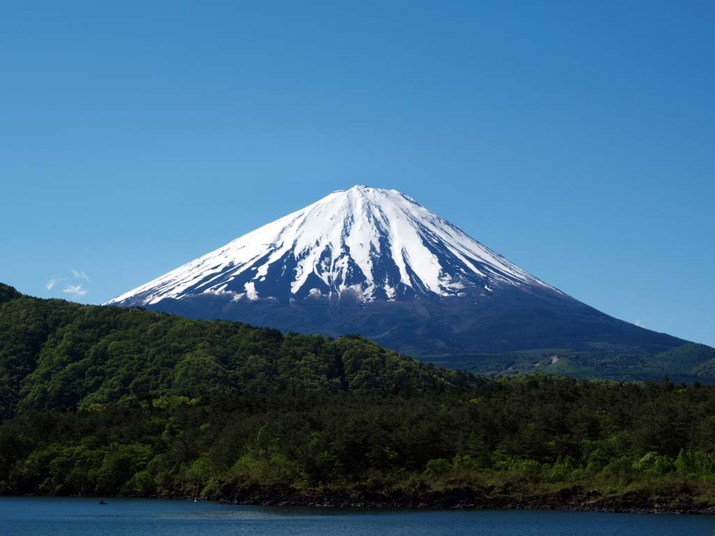 5/10 ���΂���̕x�m�R