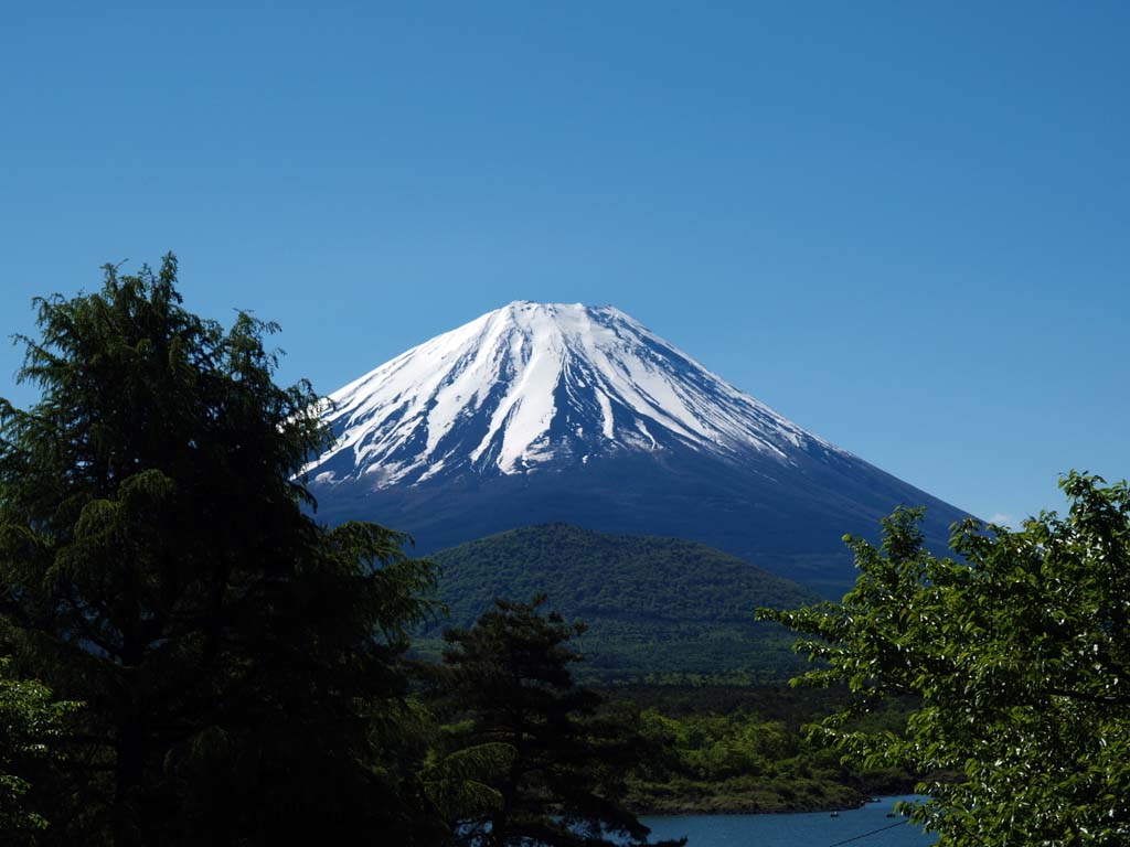 5/20 ���i�΂���̕x�m�R