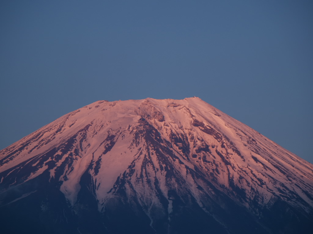 5/20 �����E���������r����̗[�Ă�