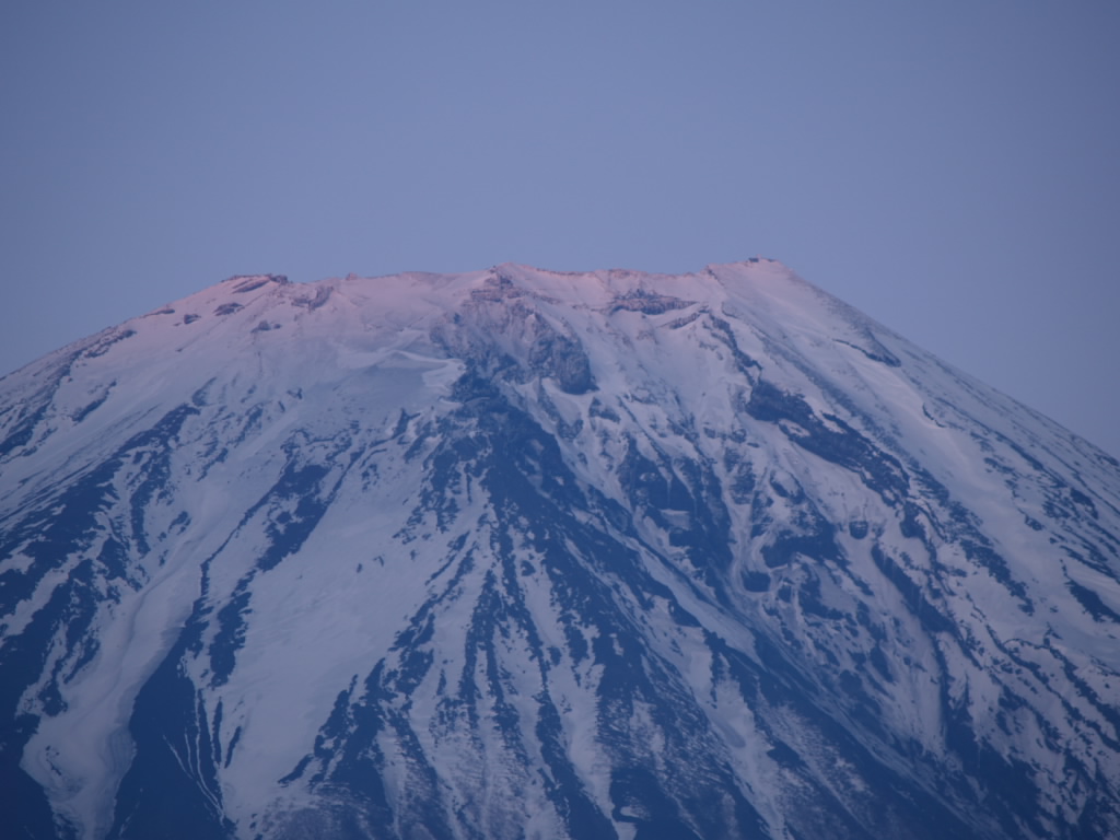 5/20 �[�Ă����I��钼�O�̕x�m�R