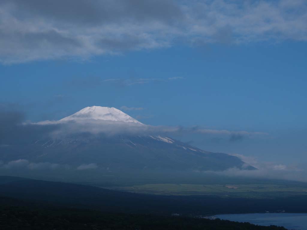 6/11 �悤�₭�p���������x�m�R