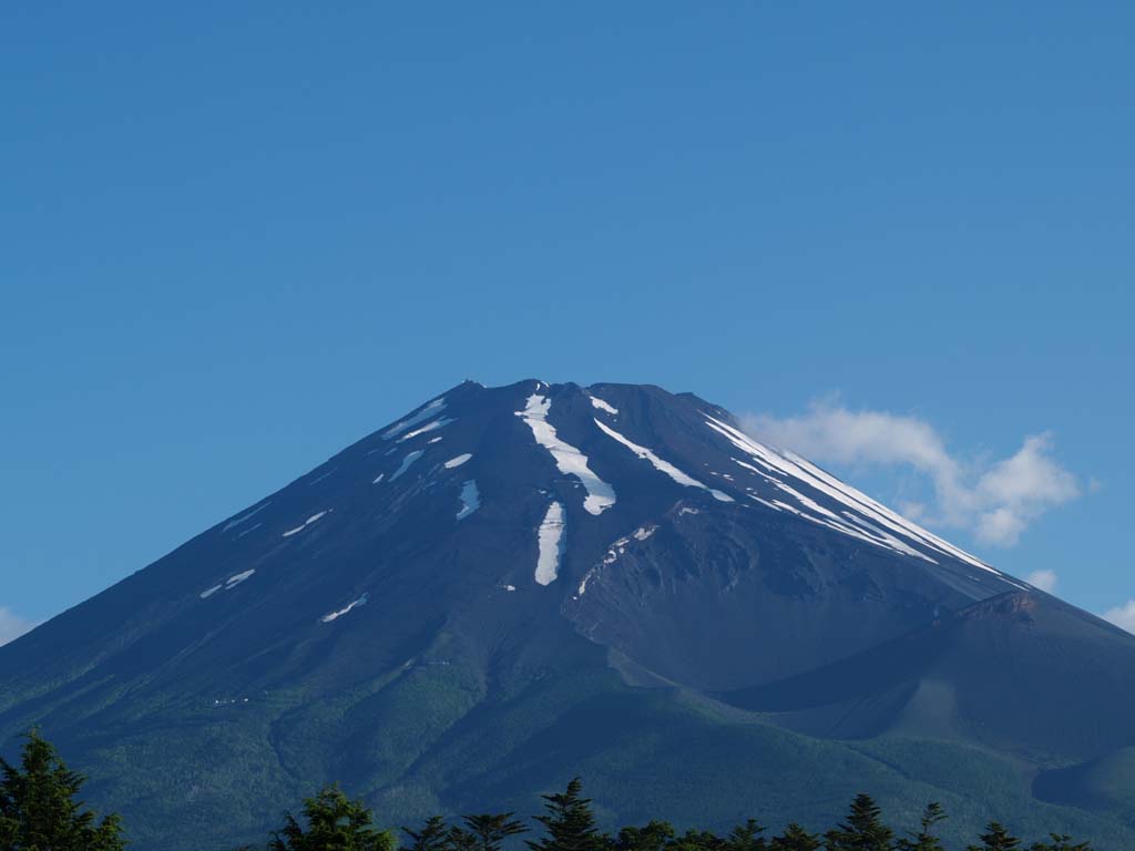 6/30 �\���؂���̕x�m�R