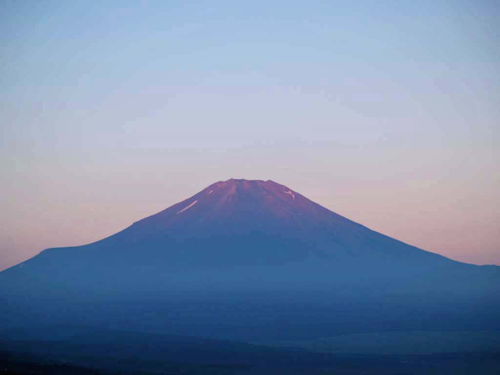 8/10 ���Ă��ƕx�m�R