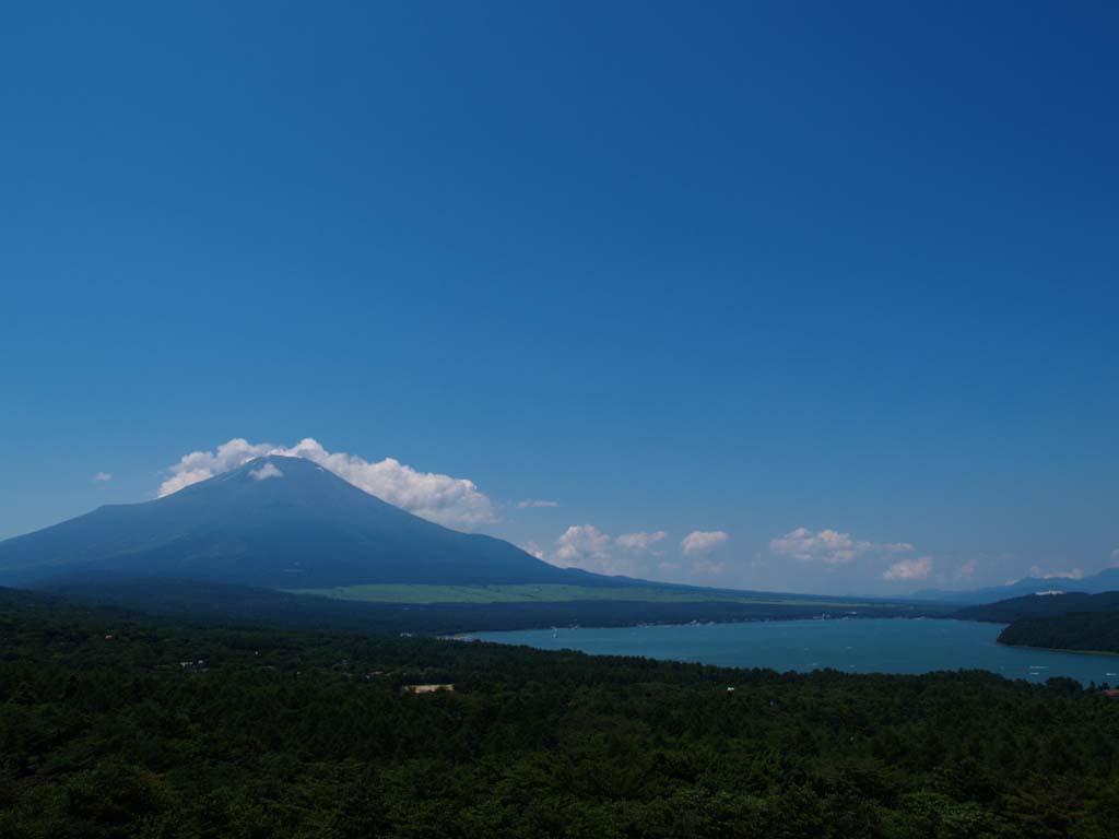 8/11 �����O�̂��ꂢ�ȕx�m�R