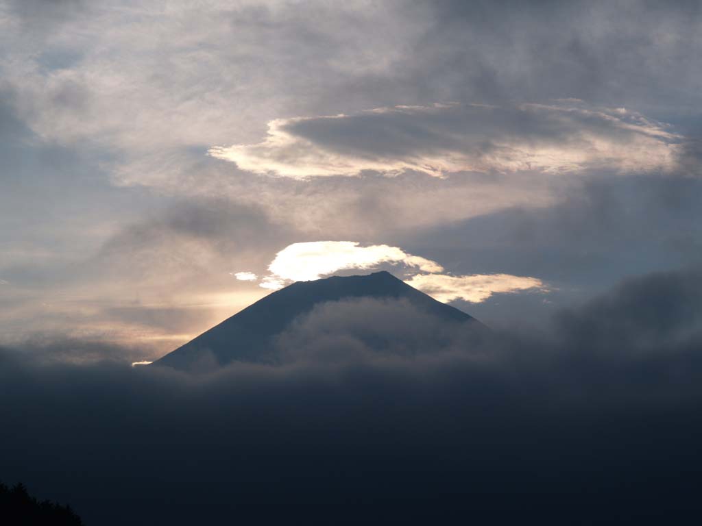 8/20 �ʉ_�ƕx�m�R