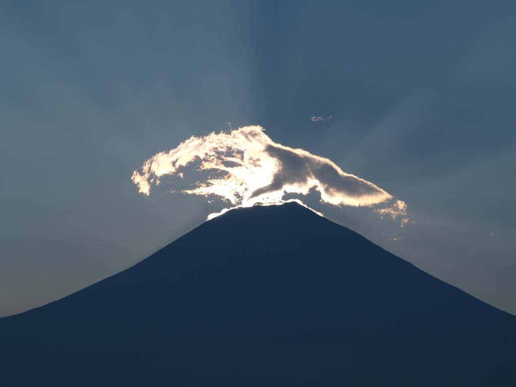 8/21 �ʉ_�ƕx�m�R