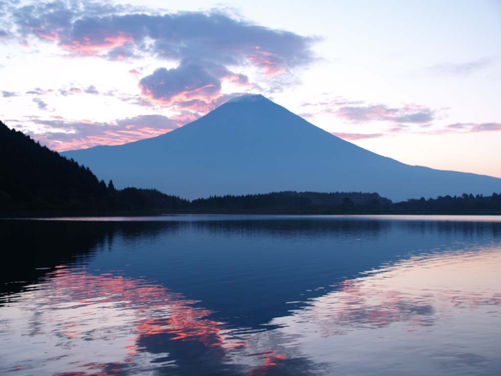 8/22 ���̏o�ƕx�m�R