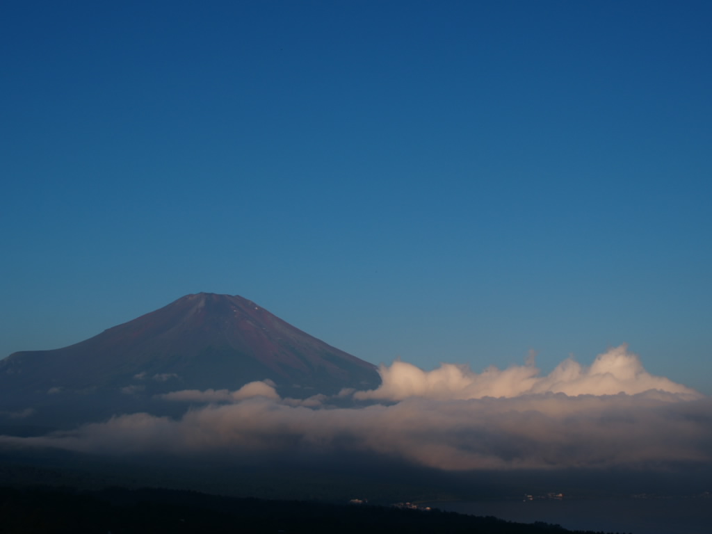 9/8 ���Ă��ƕx�m�R