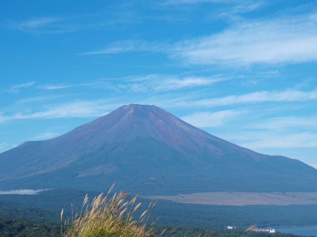 9/28 �X�X�L�Ɖ_�ƕx�m�R