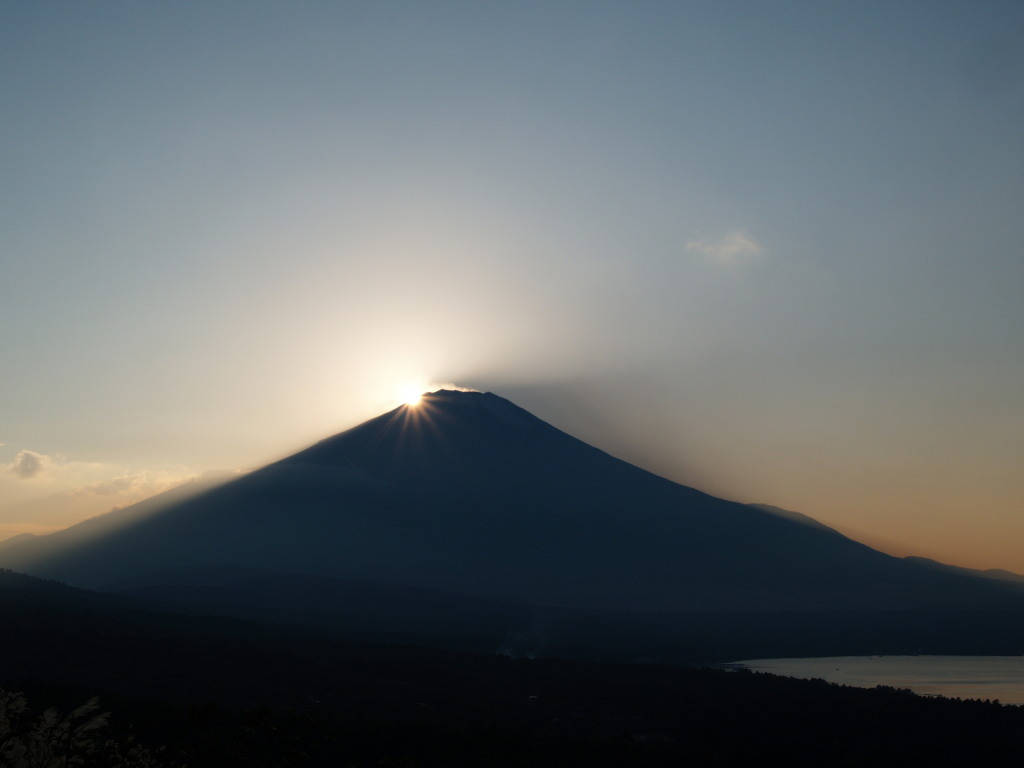 �_�C�������h���ǂ�