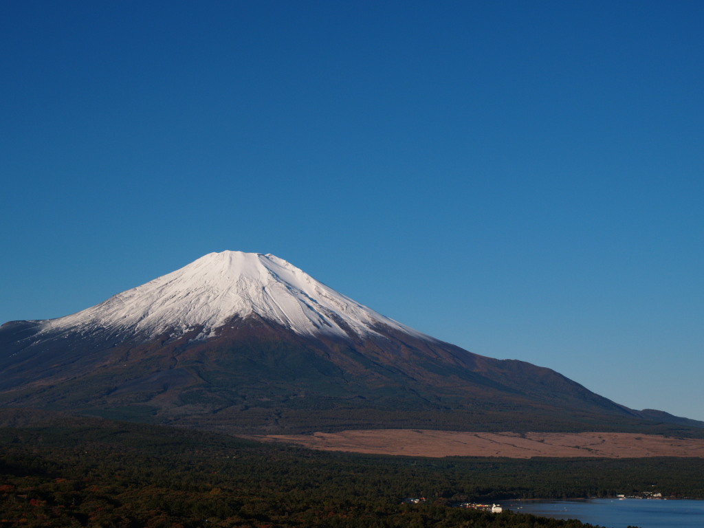 �H�̂��ꂢ�ȕx�m�R