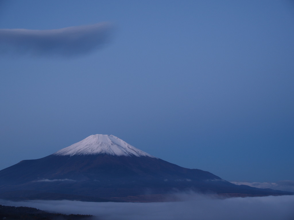 11/14 �閾���O�̕x�m�R