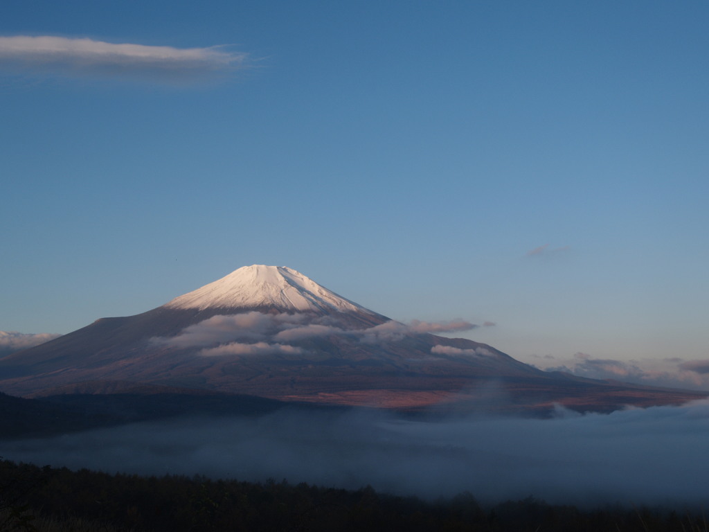 11/14 �_�Ɖ_�C�ƕx�m�R