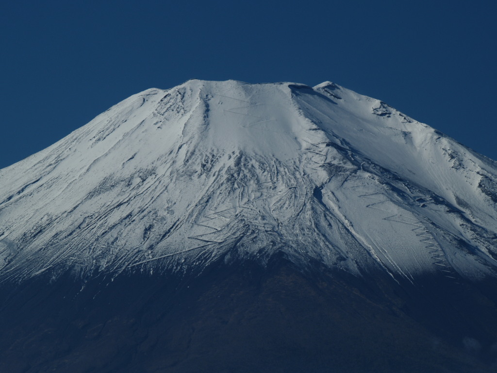 11/14 ���ꂢ�ȕx�m�R�̃A�b�v