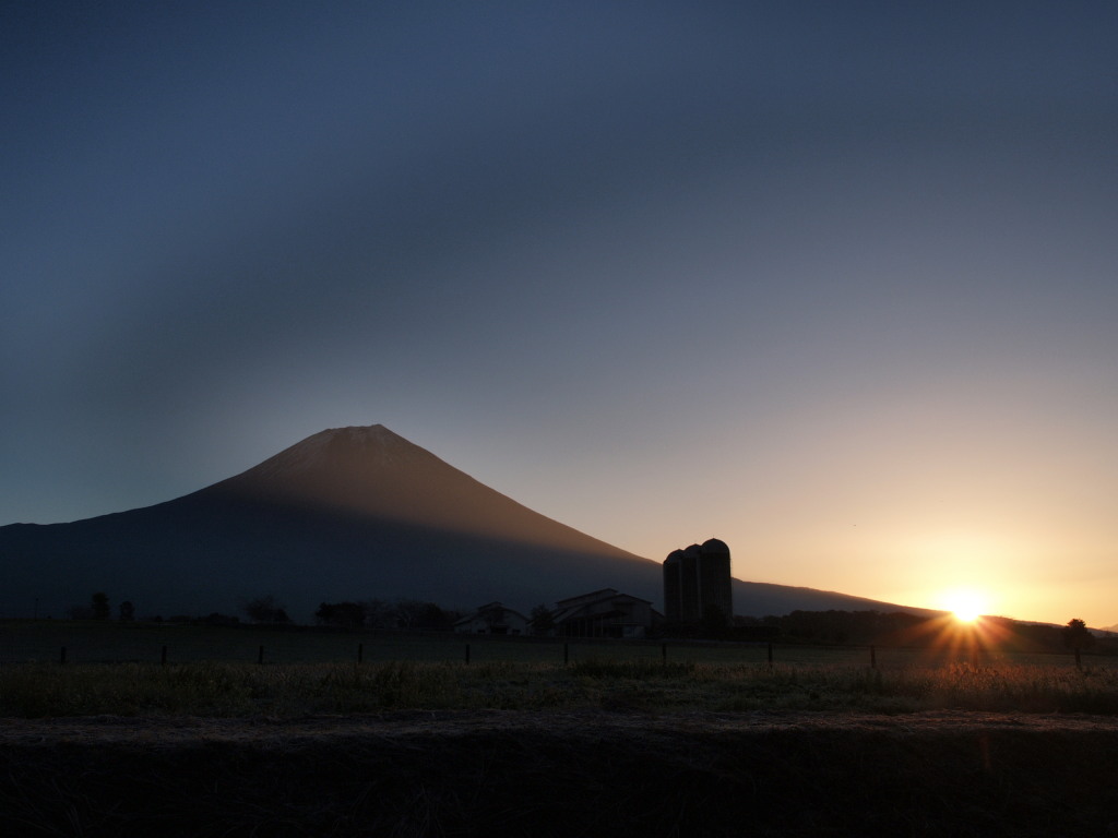 11/18 ������������̓��̏o