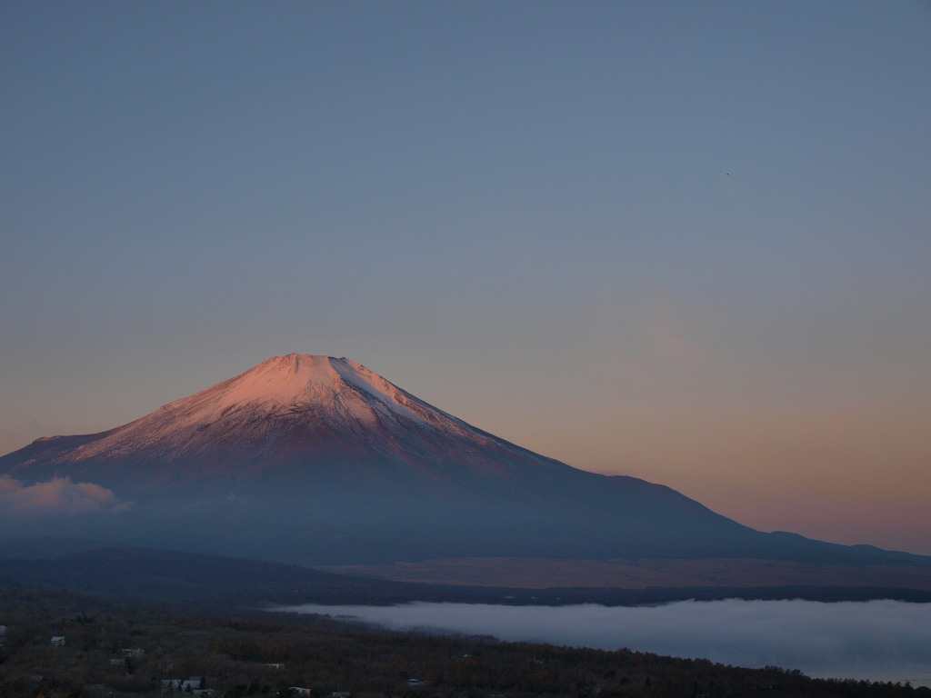 12/2 �_�C�ƒ��Ă��ƕx�m�R(2)